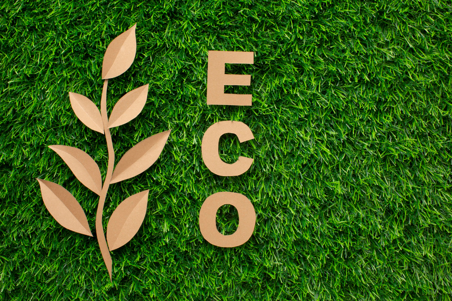 Leaf and Eco Word